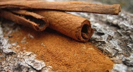 Honey And Cinnamon: Powerful Duo Knocks Colds And Much More