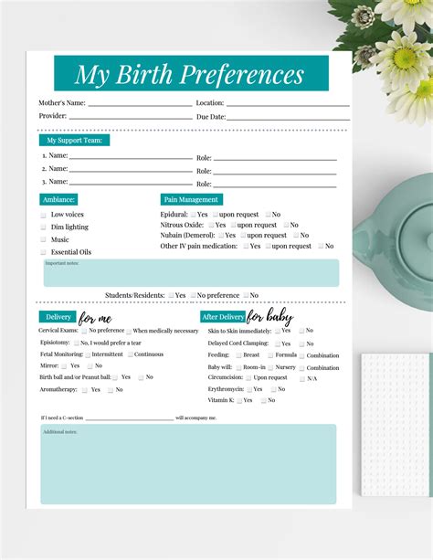 My Birth Plan Template Birth Plan Template Birth Plan Birth Plan