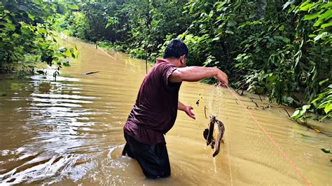 Menjaring Ikan Keli Pat Di Hutan Paya Yang Dilanda Banjir Besar Youtube