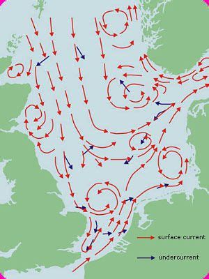 Sea Currents - Texel's Fascinating Natural Phenomenon