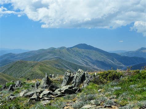 The Razorback Mt Hotham Victorias High Country