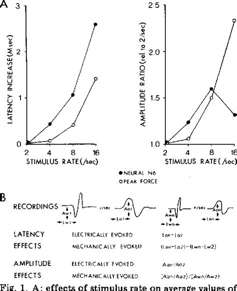 Figure From Mechanically And Electrically Evoked Somatosensory