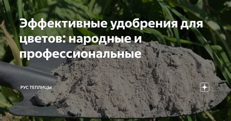 Эффективные удобрения для цветов: народные и профессиональные | Рус ...