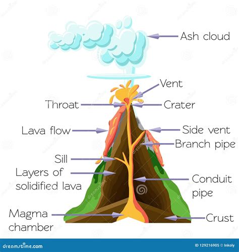 Volcano Cros Section Diagram Isolated on White Background. Stock Vector ...