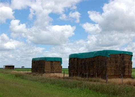 Megafardos Y Rollos De Alfalfa Agroads