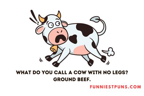 90+ Hilarious Farm Puns and Jokes: Farmyard Funnies - Funniest Puns