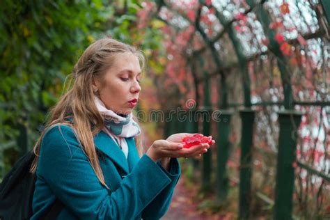 L Automne Et Une Promenade En Plein Air Une Jeune Femme Blonde Tient Des Feuilles Rouges Dans