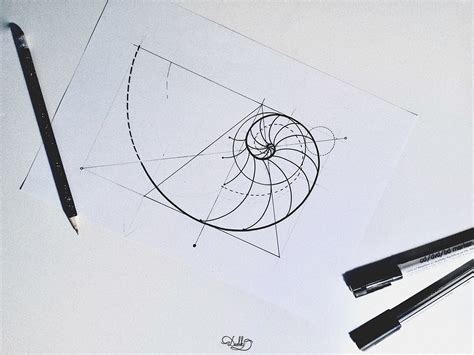 fibonacci spiral - tattoo design