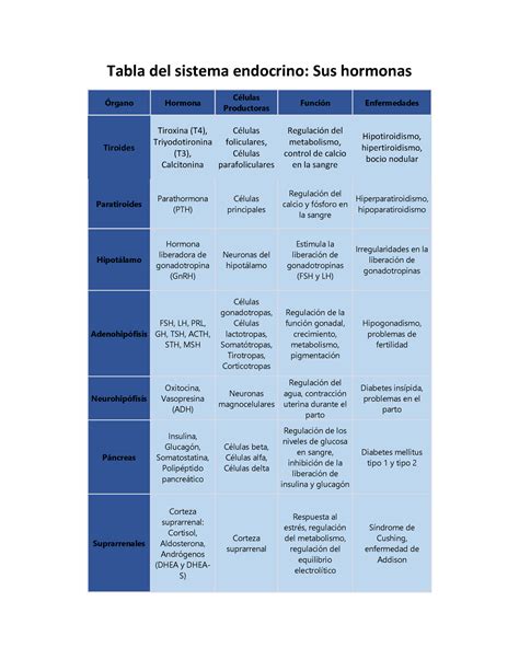 Tabla Del Sistema Endocrino Studocu