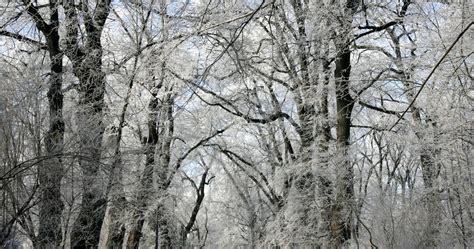 Nadchodzi Zima Imigw Ostrzega Przed Silnym Mrozem Pogoda W Interia Pl