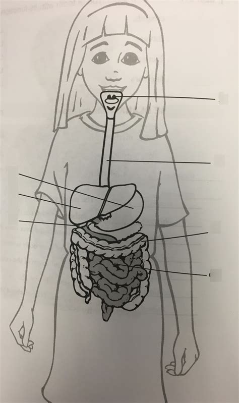 Th Grade Abeka Health Quiz Diagram Quizlet