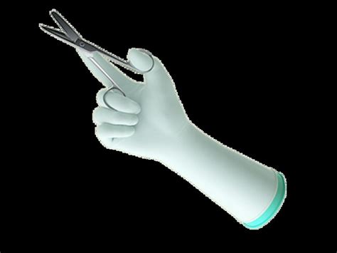 Ansell ENCORE Latex Underglove Surgical Gloves Fisher Scientific