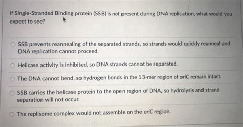 Solved If Single-Stranded Binding protein (SSB) is not | Chegg.com