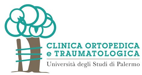 Home Ortopedia Policlinico Palermo