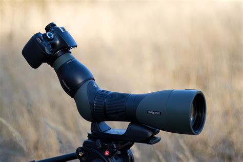 Sigma 200 500mm F28 Apo Ex Dg Review • Tobias Hjorth Nature Photographer