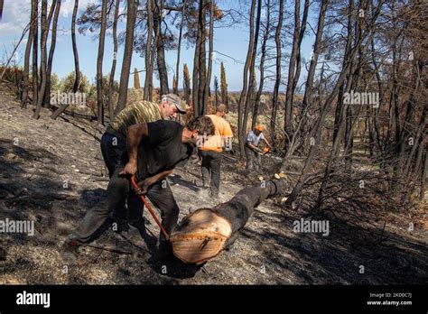 Las Secuelas De Los Incendios Forestales En La Isla Evia Uno De Los