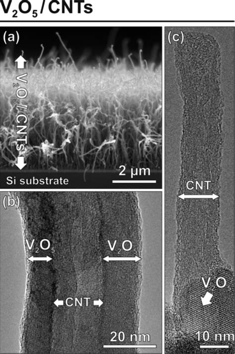 A Sem Image Of Uncoated V O Cnts From Crosssectional View Is