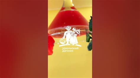 Арбуз Сахарная молния - YouTube