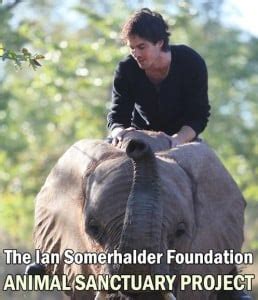 The Ian Somerhalder Foundation Spotlight