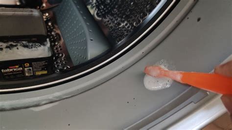 How To Clean Mold From Rubber Seal Of Front Load Washing Machine