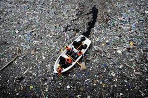 10 Interesting the Great Pacific Garbage Patch Facts | My Interesting Facts