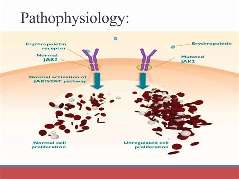 Blood Disorders | PPT