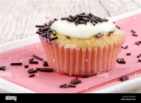 vanilla cupcake with chocolate sprinkles Stock Photo - Alamy