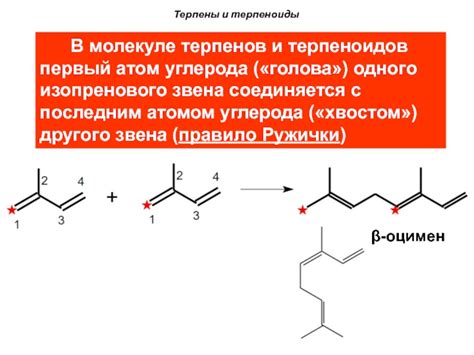 Липиды. Общая характеристика липидов