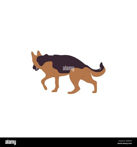 German shepherd dog walking. Isolated on white background. Flat style ...