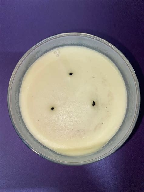 BBW Bath Body Works White Barn White Tea Sage Wicks Candle Furniture Home Living