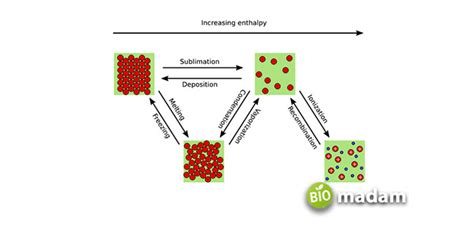 Difference between Bond Energy and Bond Enthalpy - biomadam