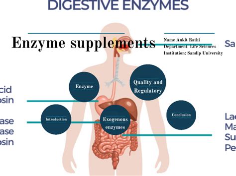 EFFECT OF EXOGENOUS SUPPLEMENTATION OF ENZYMES ON DIGESTIVE HEALTH By