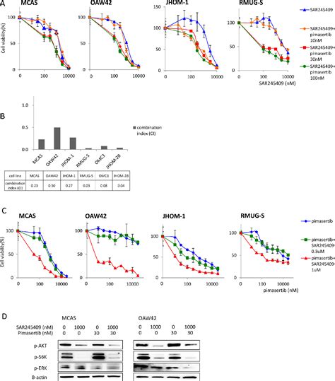 Figure 2 From Synergistic Antitumor Effects Of Combination PI3K MTOR