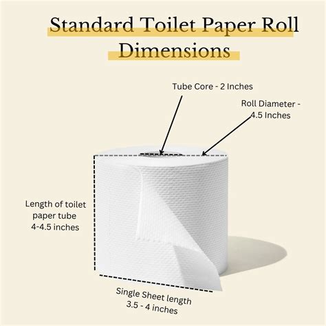 Toilet Paper Roll Dimensions A Quick Guide Hooked Home