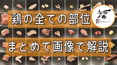 全55種類！鶏の部位一覧！その全てを専門店が詳しく紹介・解説します。 トリさばく男