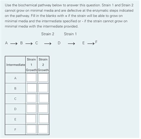 Solved Use The Biochemical Pathway Below To Answer This Chegg