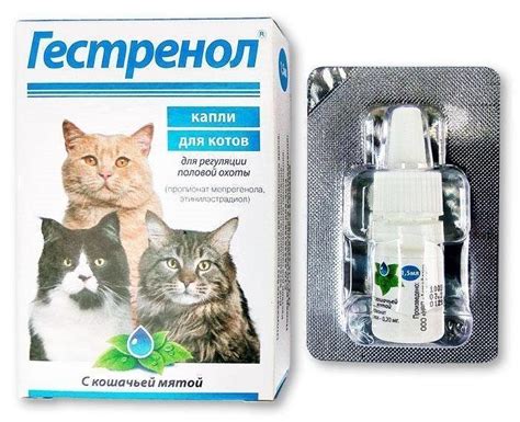 Препараты для кошек и котов с инструкциями, ценами и отзывами