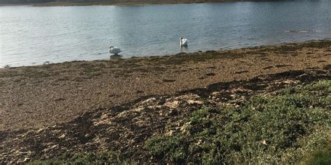 The Real Naked Coach Xxx Onlyfans Therealnakedcoachxxx Review Leaks Videos Nudes