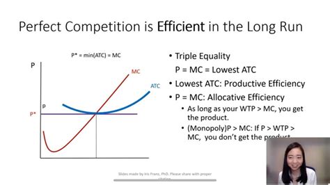 Perfect Competition Equilibrium Output