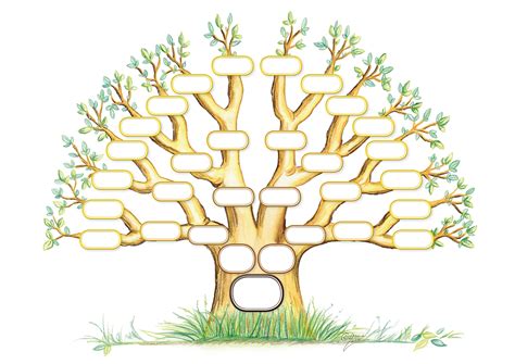 Ancestor tree Fill-it-out 4 generations | Árbol genealógico gratis ...