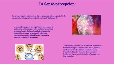 La Senso Percepción