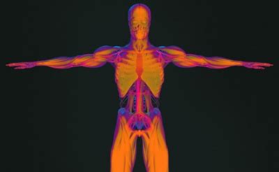 Thermogenese - Funktion, Aufgabe & Krankheiten | MedLexi.de