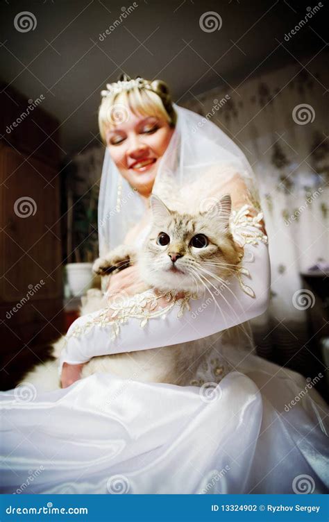 Bride Of The Cat In The Hands Stock Photo Image Of Marriage Haircut