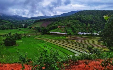 Chiang Mai rice terraces tour | Chiang Mai trekking