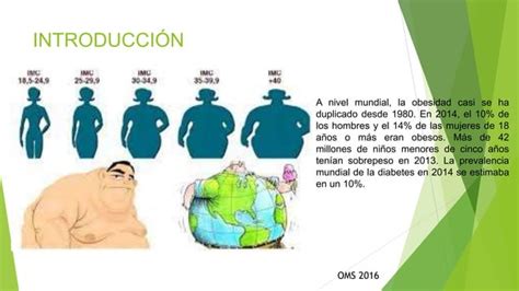 Disminuci N En Los Niveles De Insulina E Ir Homa En Ratas Obesas