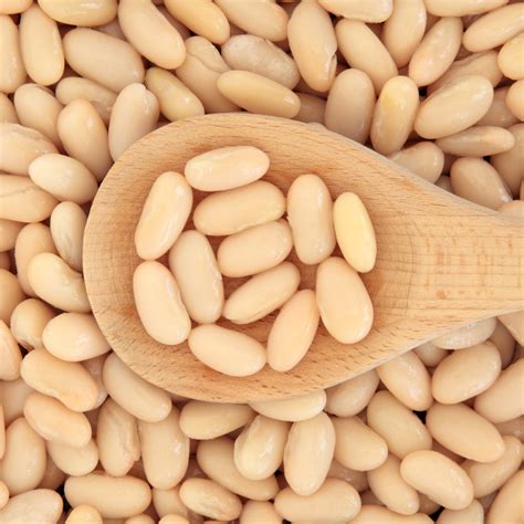 12 Cannellini Beans Substitutes For Cooking Tastylicious