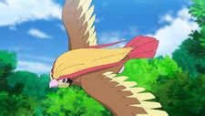 Ash's Pidgeot - Bulbapedia, the community-driven Pokémon encyclopedia