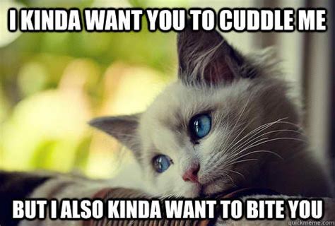 25 Cutest Cuddle Memes