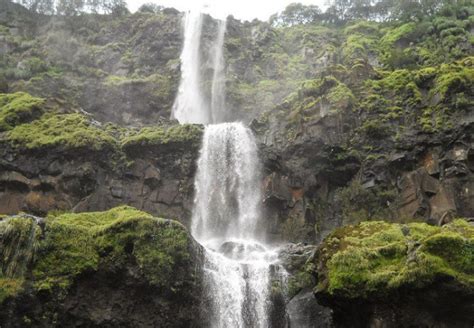 5 Best Waterfalls In Maharashtra That You Must See