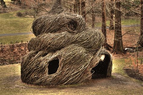 Morris Arboretum Patrick Dougherty Sculptures Morris Arboretum Bird